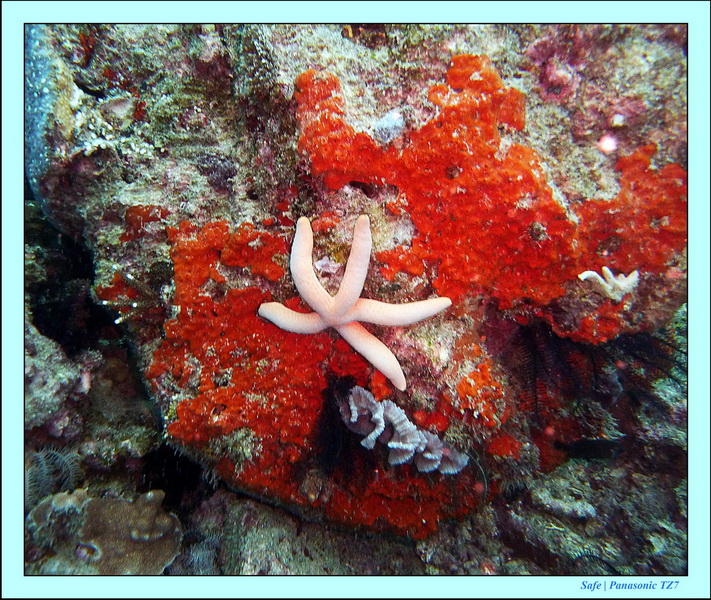 2011 - 08 - Borneo - Mantabuan 23